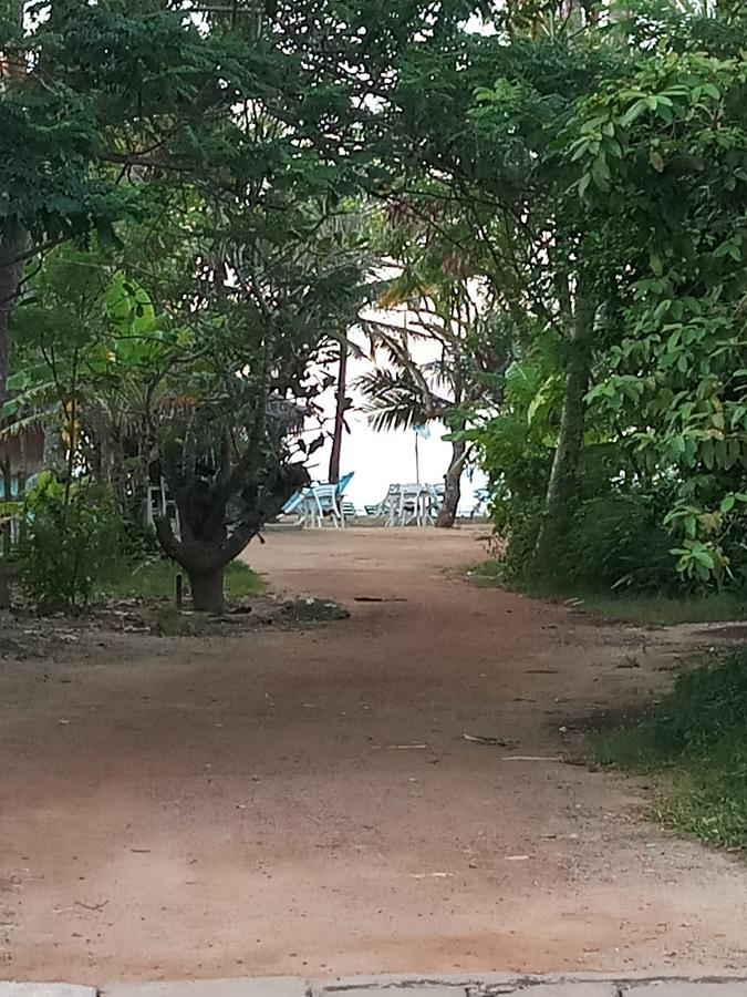 Dolphin Cottage Mirissa Luaran gambar