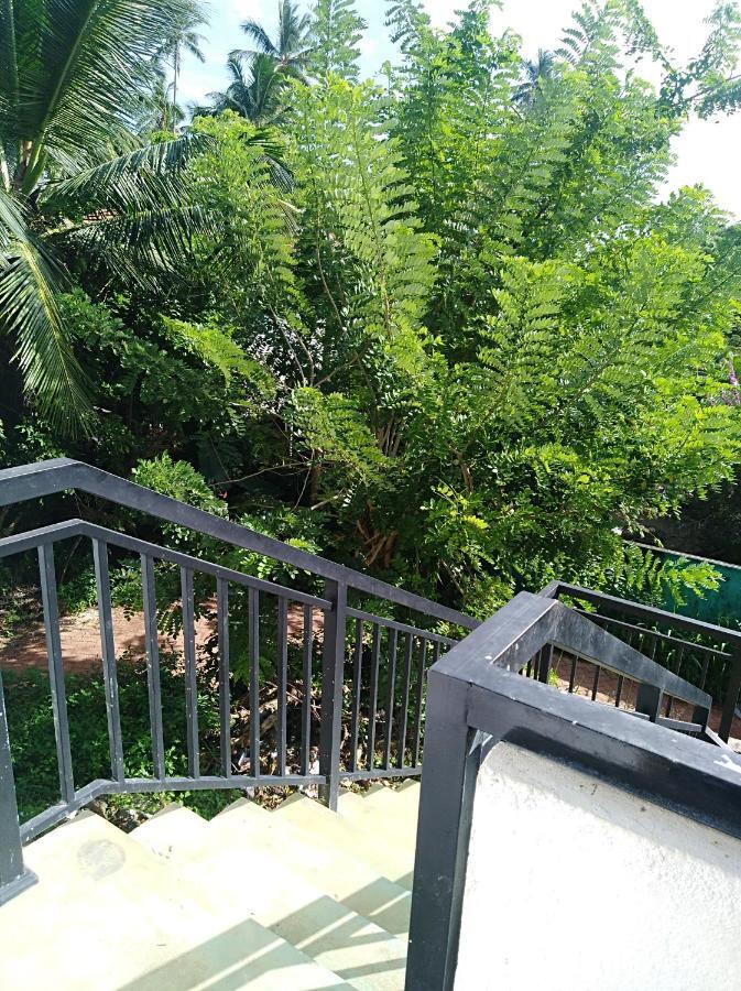 Dolphin Cottage Mirissa Luaran gambar