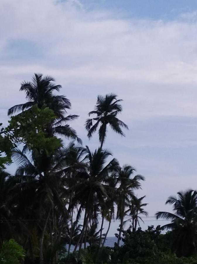 Dolphin Cottage Mirissa Luaran gambar